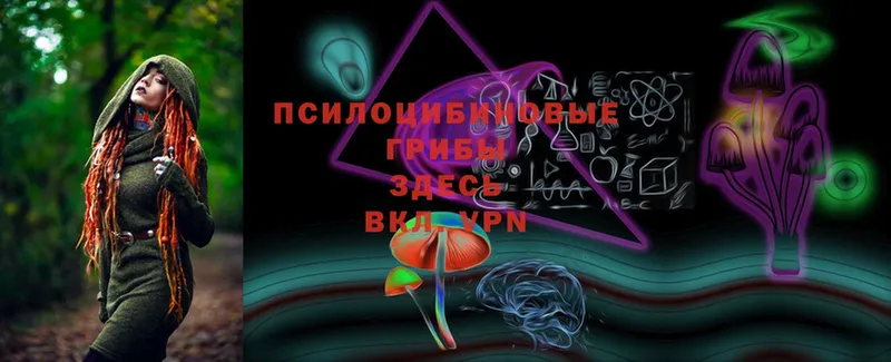 Галлюциногенные грибы Cubensis  Энем 